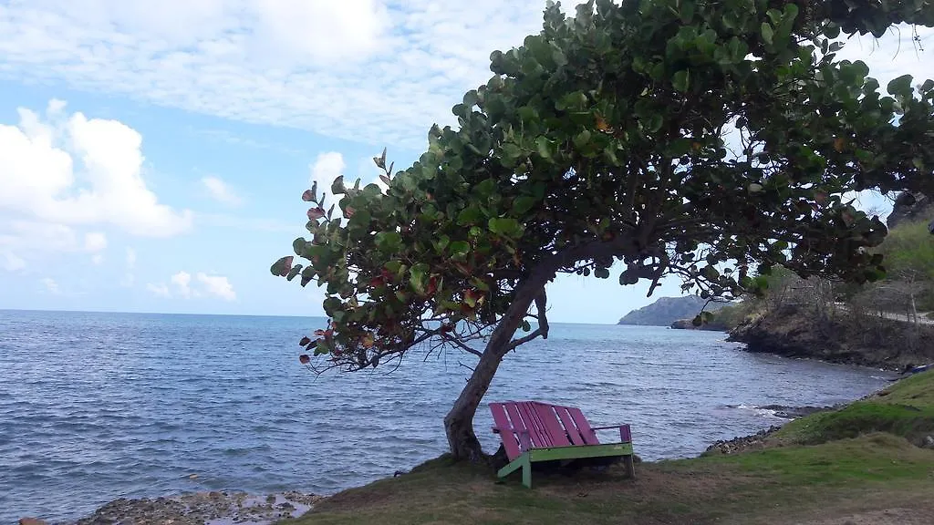 Han/Misafirhane Posada Ocean View Otel Fresh Water Bay